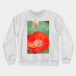 Poppy 22 Crewneck Sweatshirt